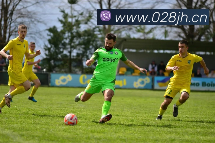 多媒体互动体验